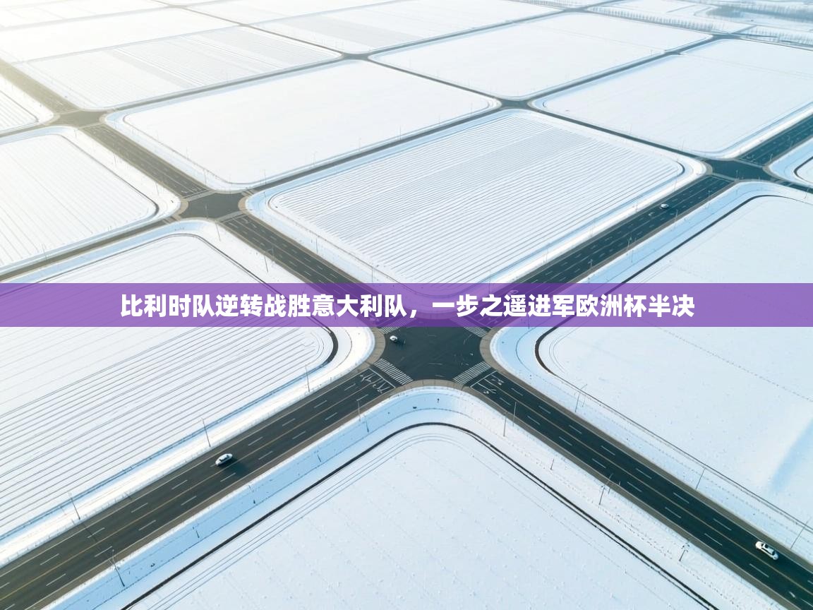 比利时队逆转战胜意大利队,一步之遥进军欧洲杯半决