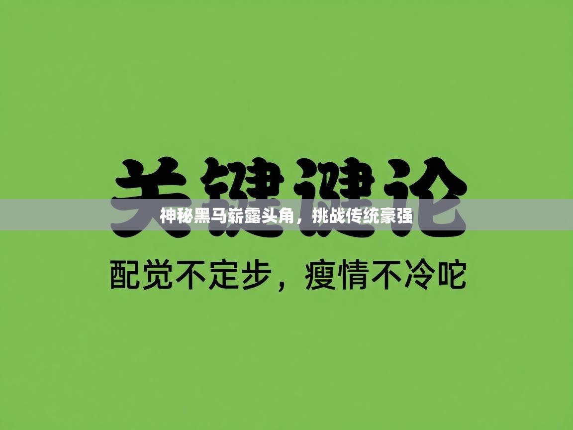 神秘黑马崭露头角,挑战传统豪强