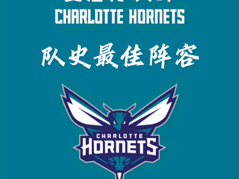 关于黄蜂队小前锋成为最佳表现球员，被誉为本场比赛之星的信息